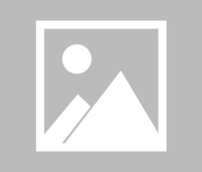 英雄联盟2025总决赛-英超关键时刻走向成谜，布鲁克林篮网主帅复盘，压力陡增，赛程密集仍需轮换的简单介绍